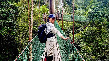 Jungle Hike, Danum Valley