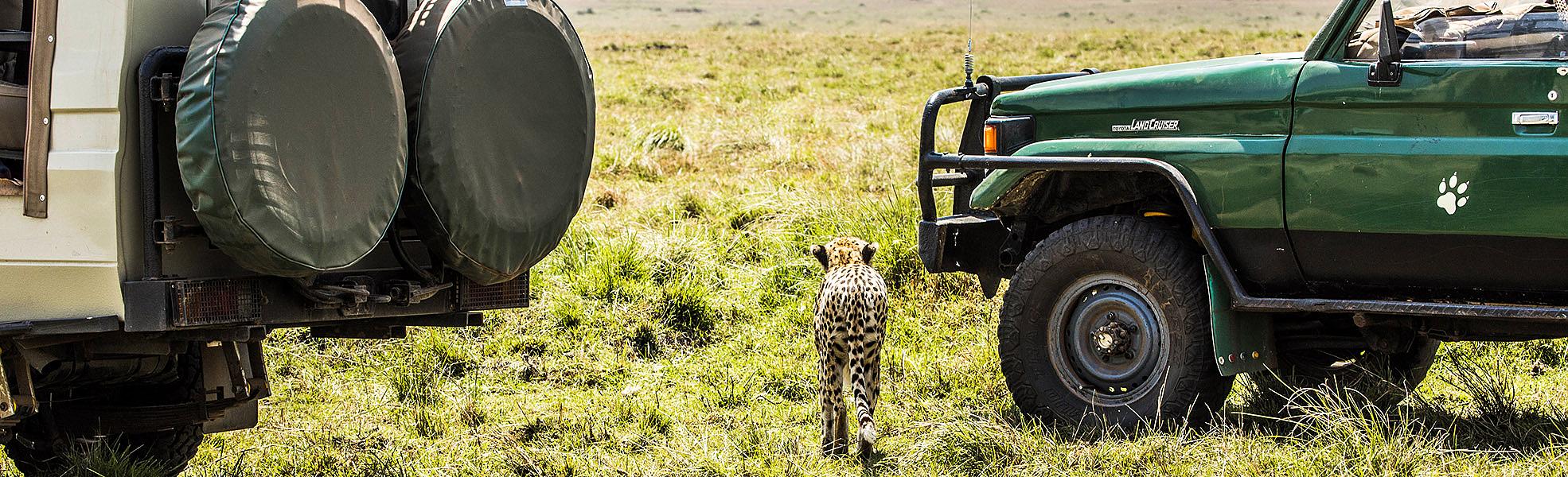 Maasai Mara