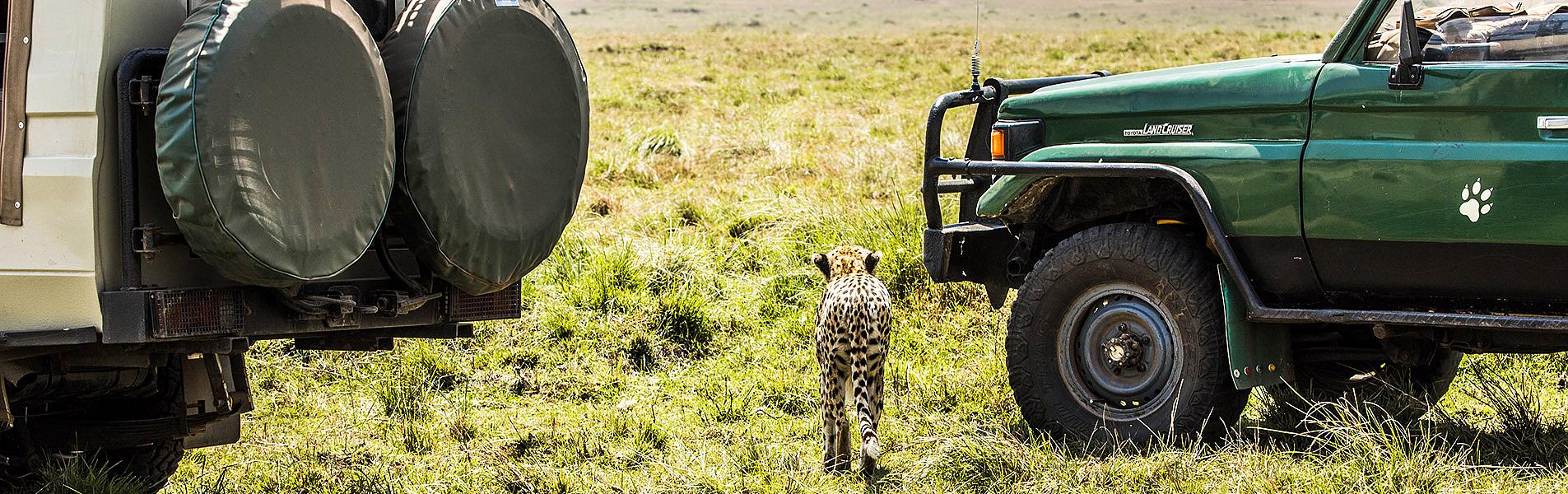 Maasai Mara