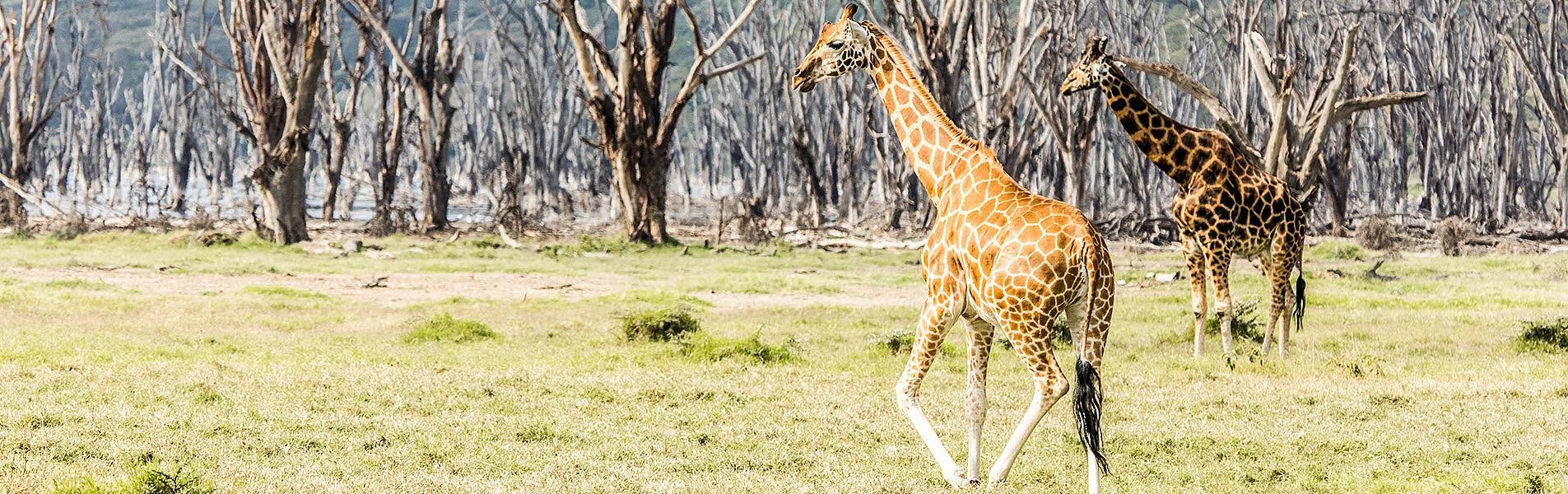 Maasai Mara National Park