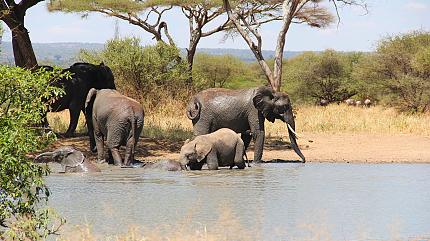 Sabi Sands Game Reserve