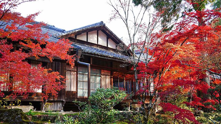 Japan in Autumn
