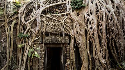 Ta Prohm Temple, Siem Reap
