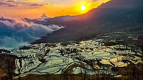 Yuanyang Terraced Fields