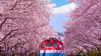 Gyeonghwa Station, Jinhae