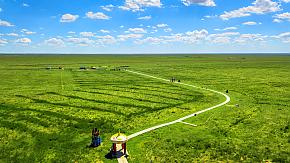 Grassland