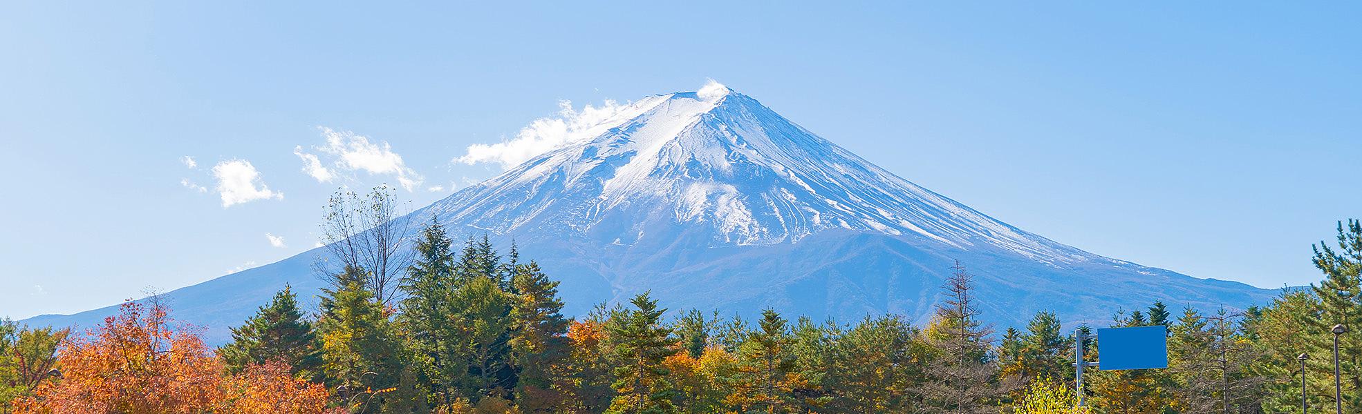 Mt. Fuji