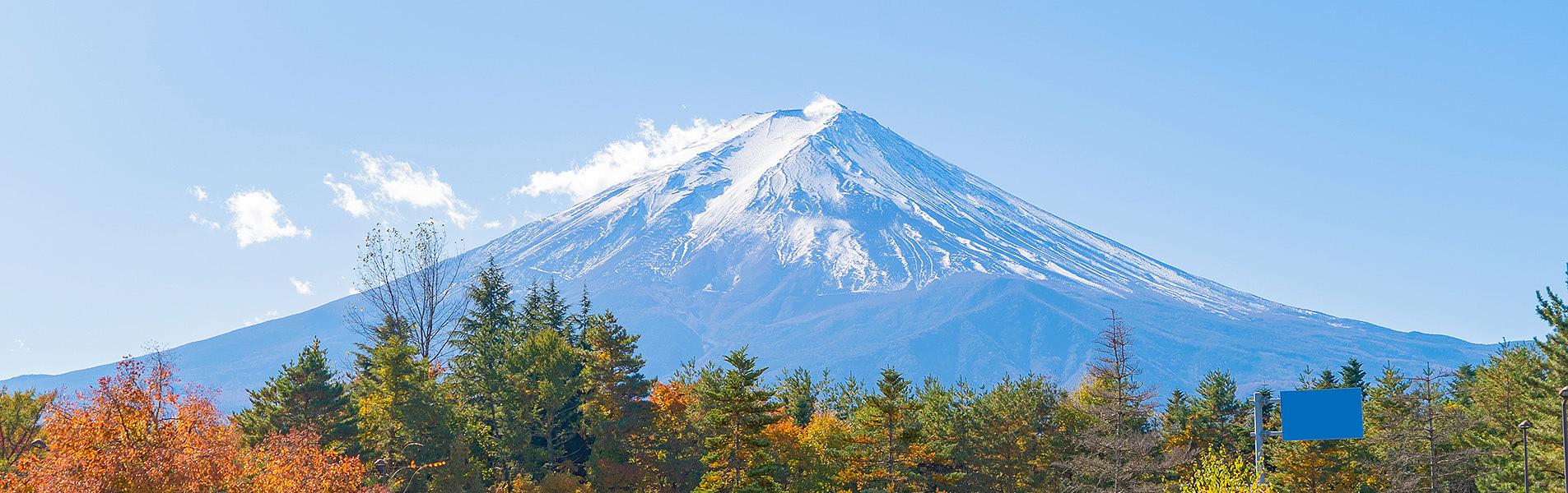 Mt. Fuji