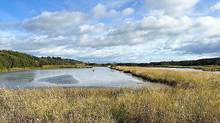 Tamar Wetland Park, Launceston