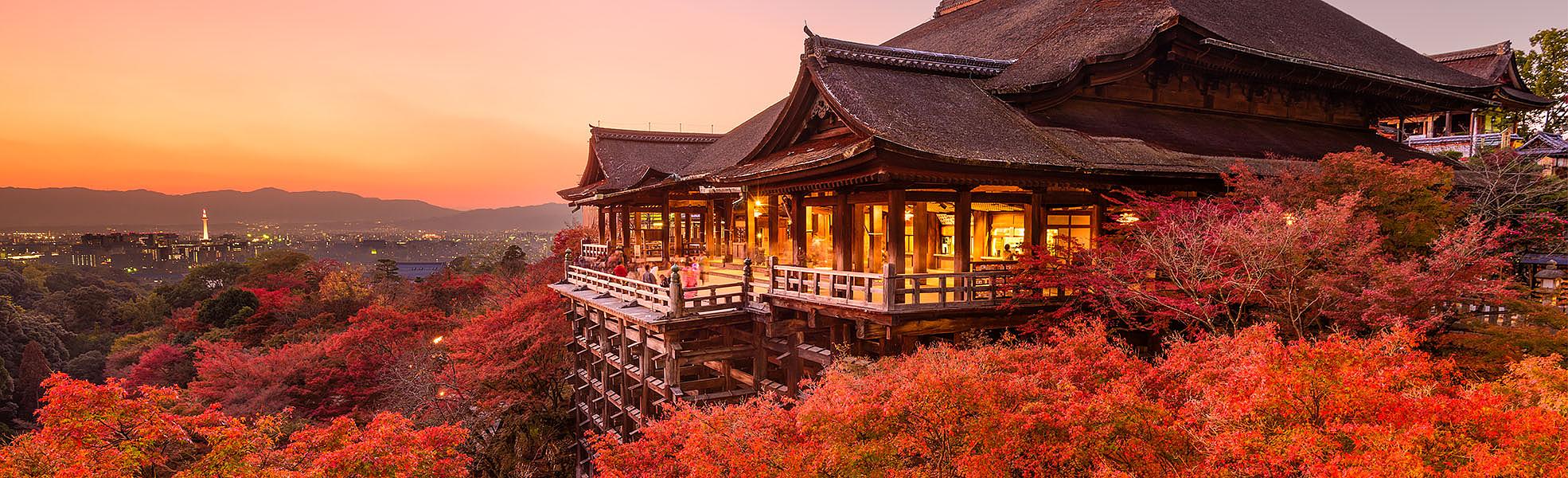 Autumn Colors of Japan