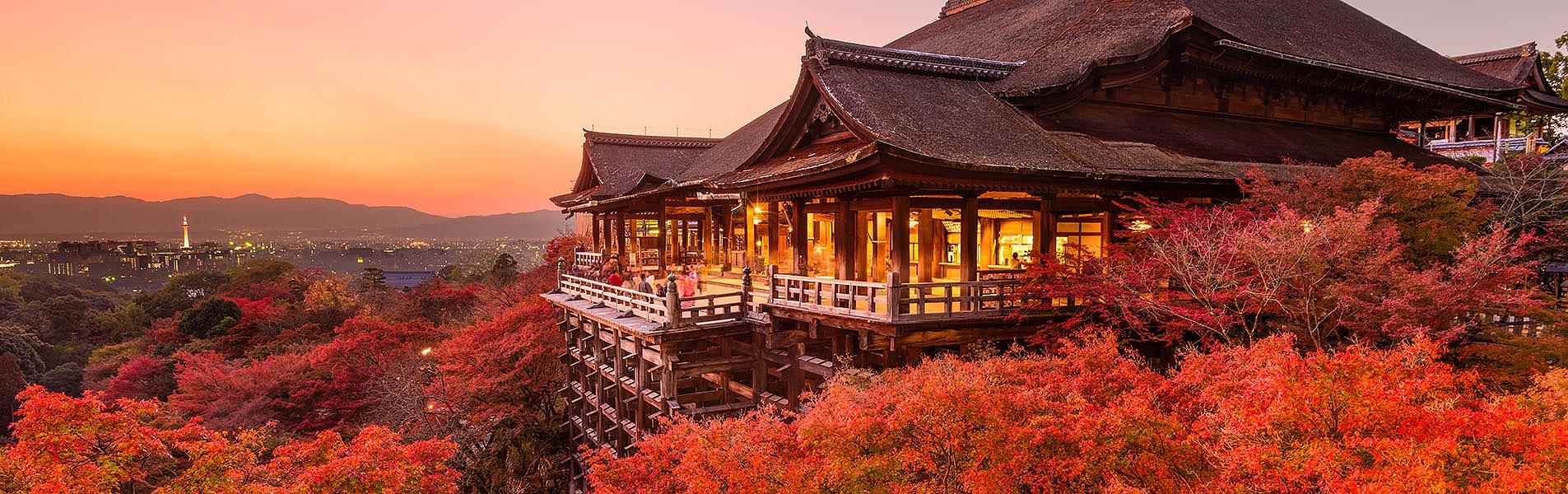 Autumn Colors of Japan