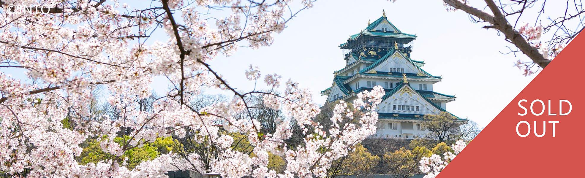 Golden Route of Japan with Sakura