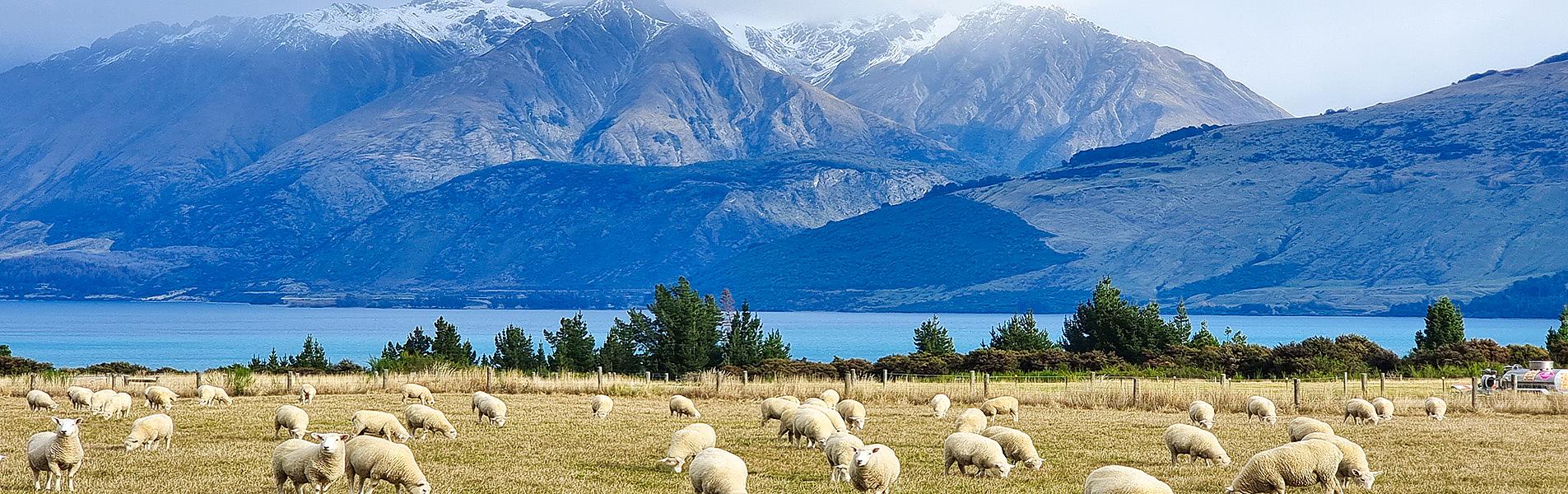 New Zealand