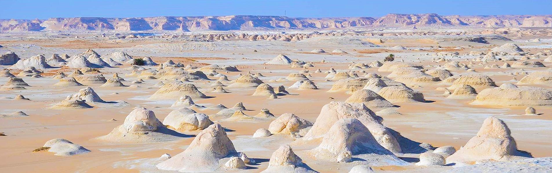 White Desert