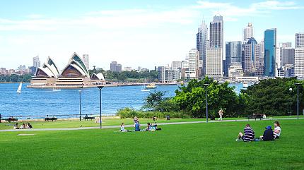 Sydney City View