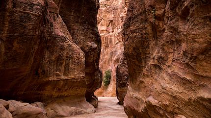 The Siq’s Narrow Passage, Petra