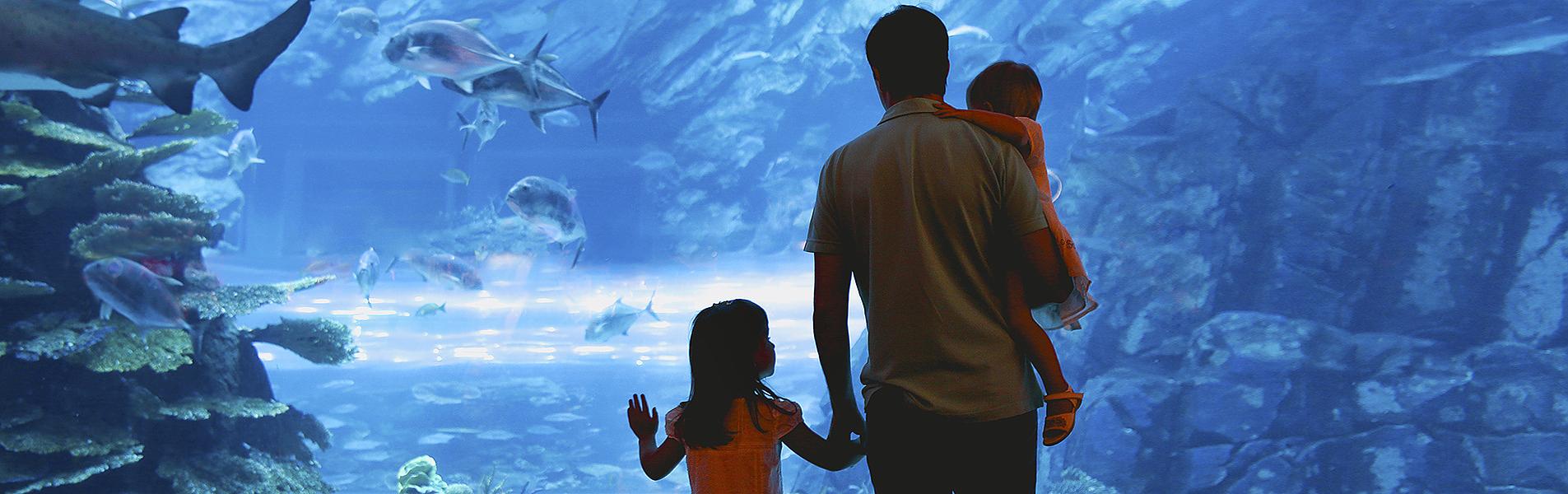 Singapore Family Vacation