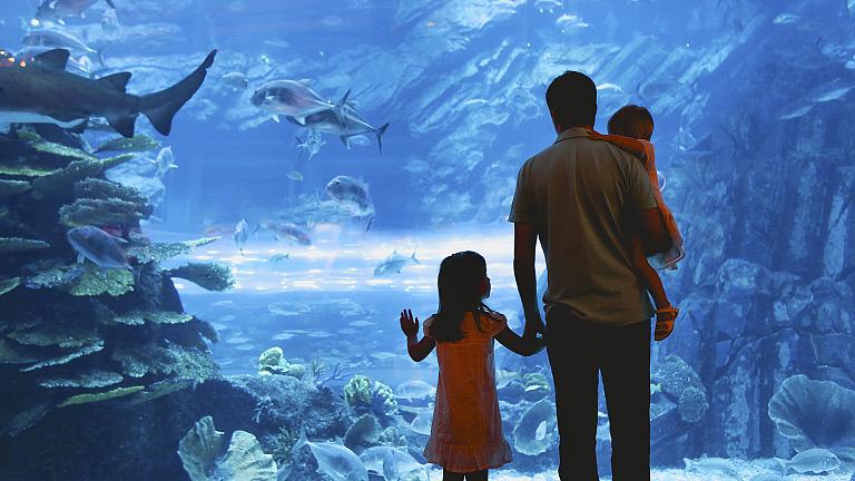 Singapore Family Vacation