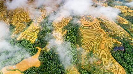 Longji Rice Terraces, Longsheng