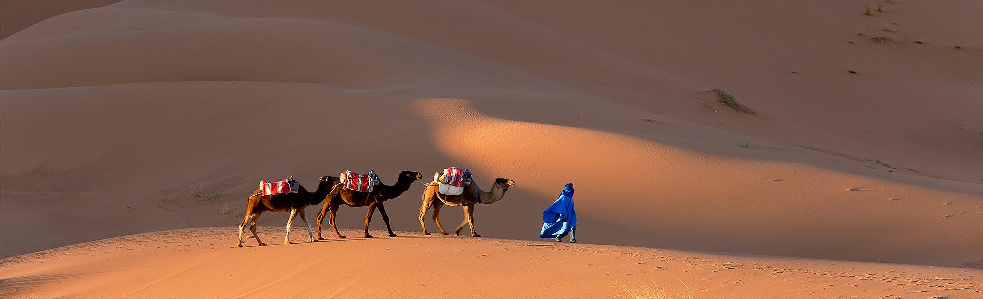 Sahara Desert