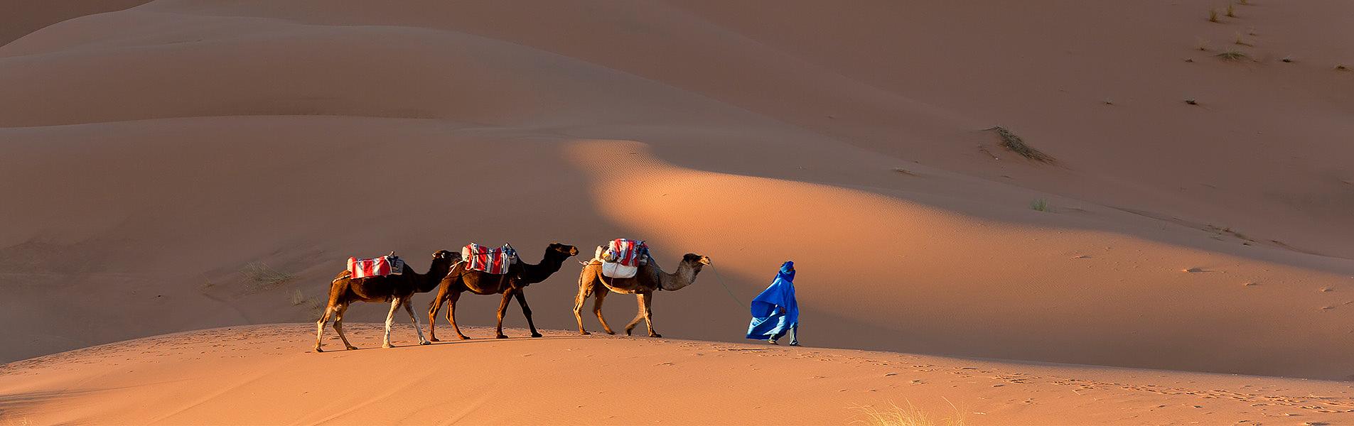 Sahara Desert