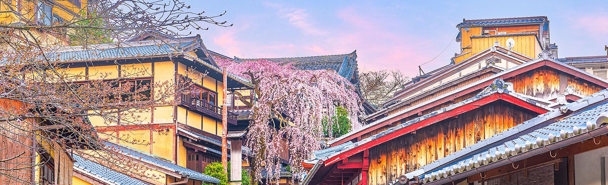 Kyoto City View, Japan
