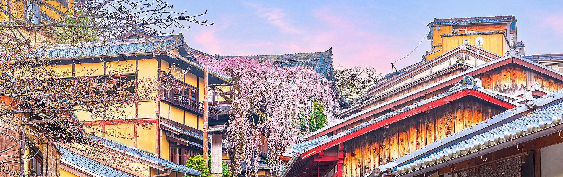 Kyoto City View, Japan