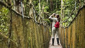 Amazon Rainforest