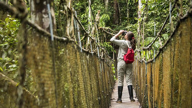 Amazon Rainforest