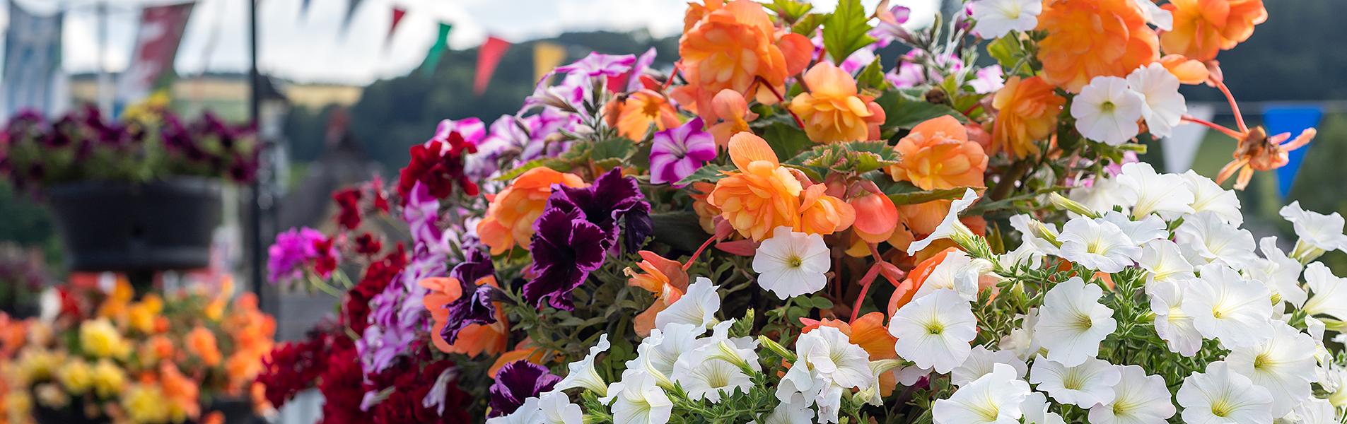 Madeira Flower Festival in Funchal, Portugal