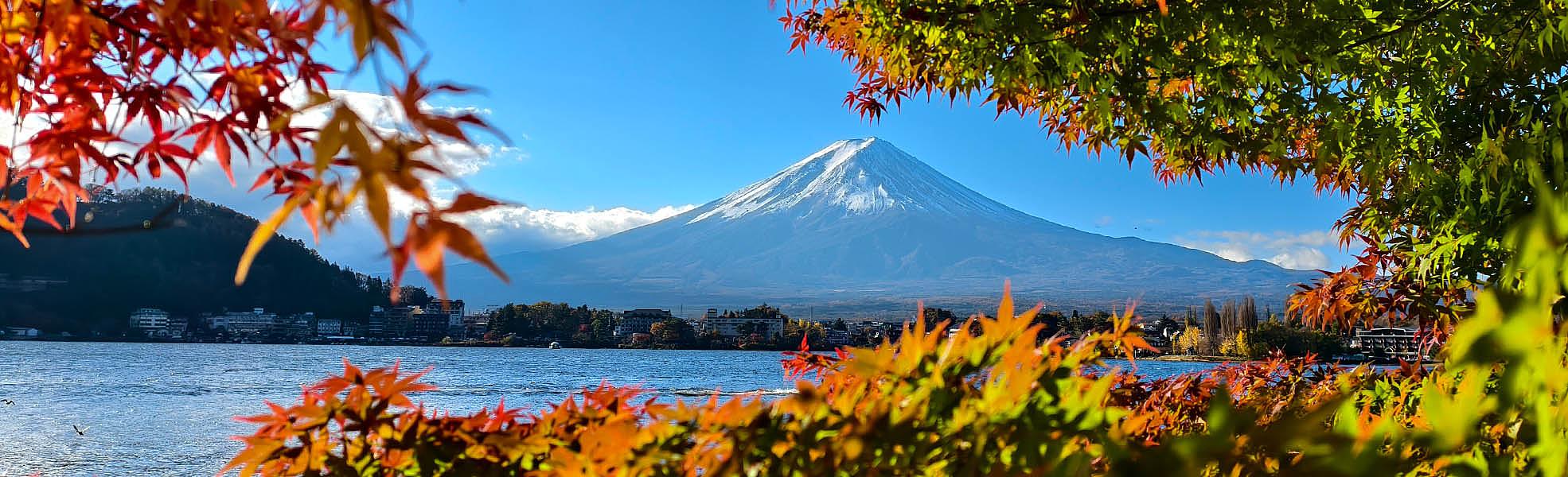 Mt. Fuji in Autumn