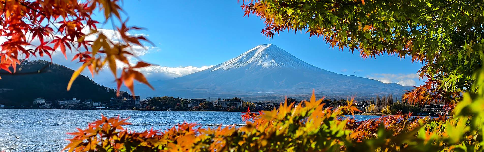 Mt. Fuji in Autumn