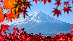 Mt. Fuji in Autumn