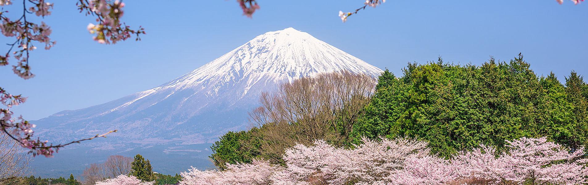 Mount Fuji