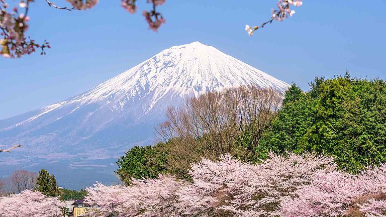Mount Fuji