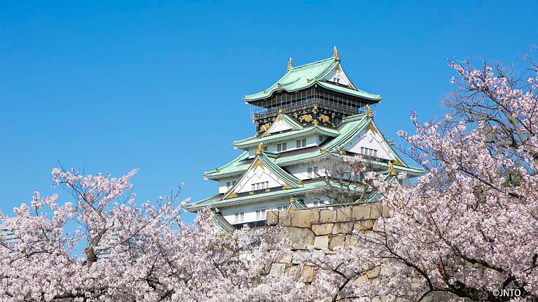 Golden Route of Japan With Sakura