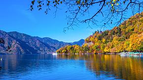Hokkaido Autumn