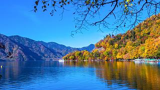 Japan Fall Foliage: 2026 Autumn Leaves Forecast Map