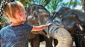 Thailand Family Tour