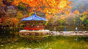 Autumn in South Korea