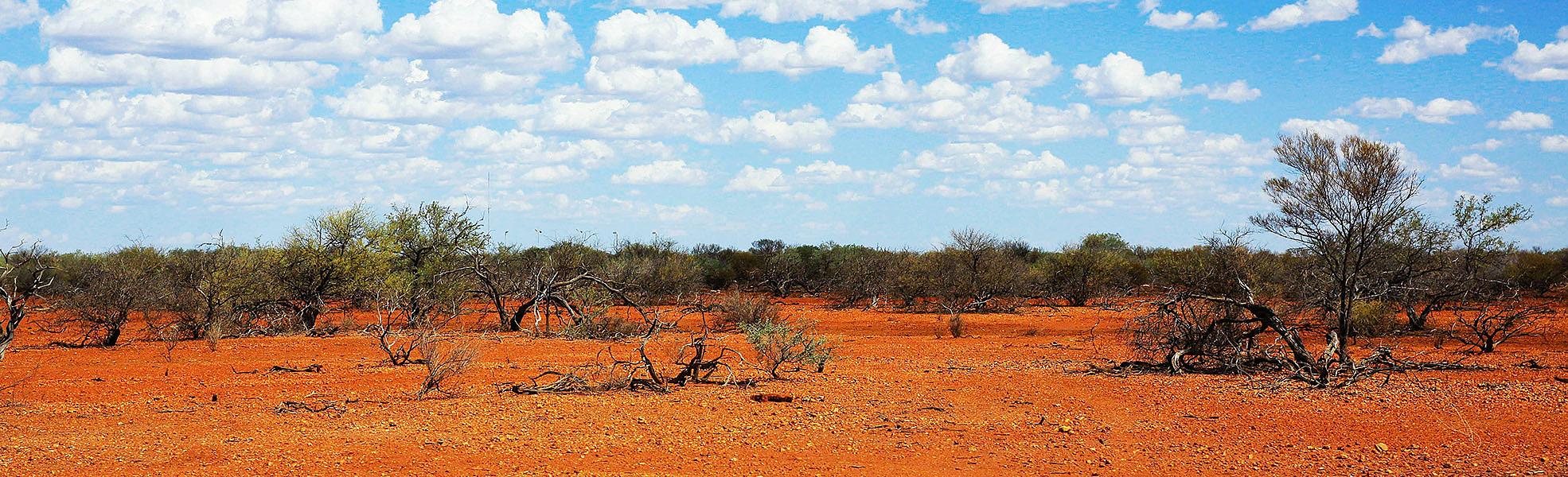 Australia Adventure