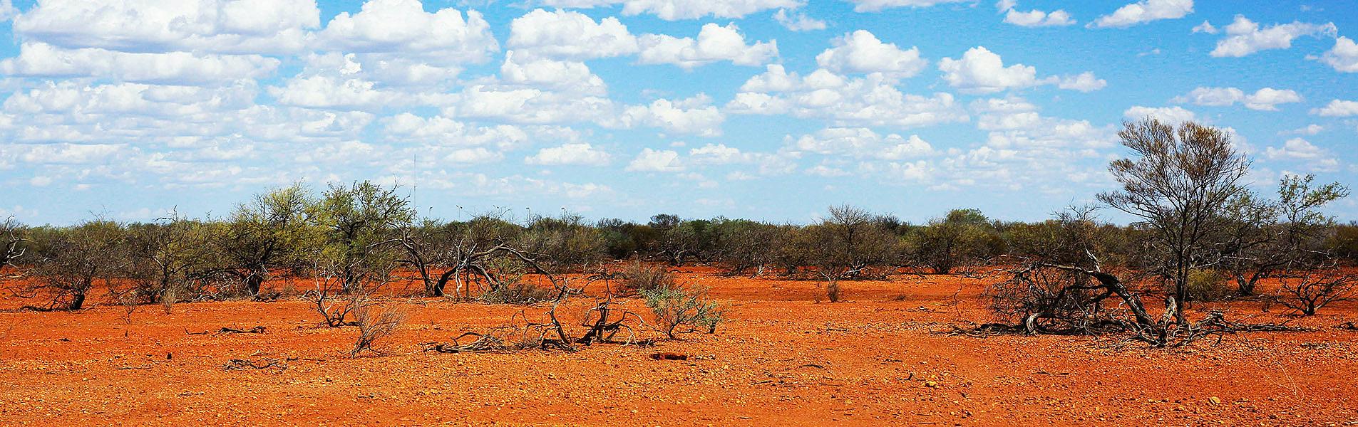 Australia Adventure