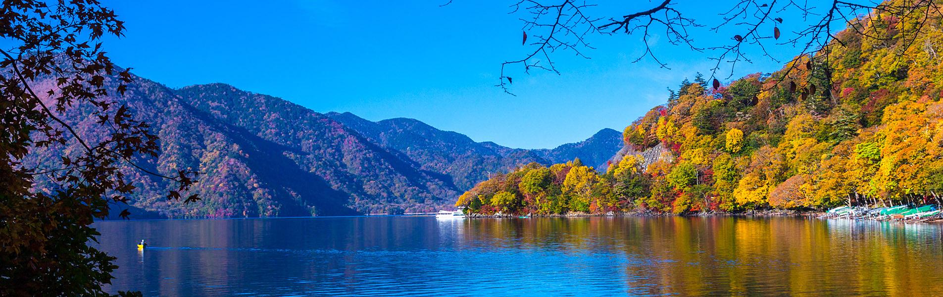 Hokkaido Autumn