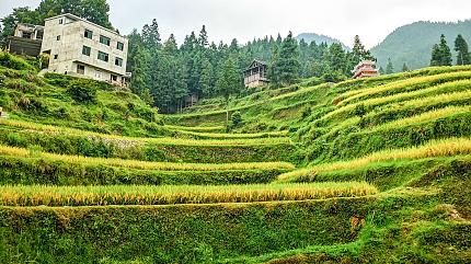 Terrace Field, Zhaoxing