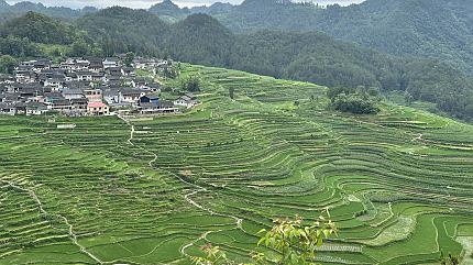 Gaoyao Miao village,Guizhou