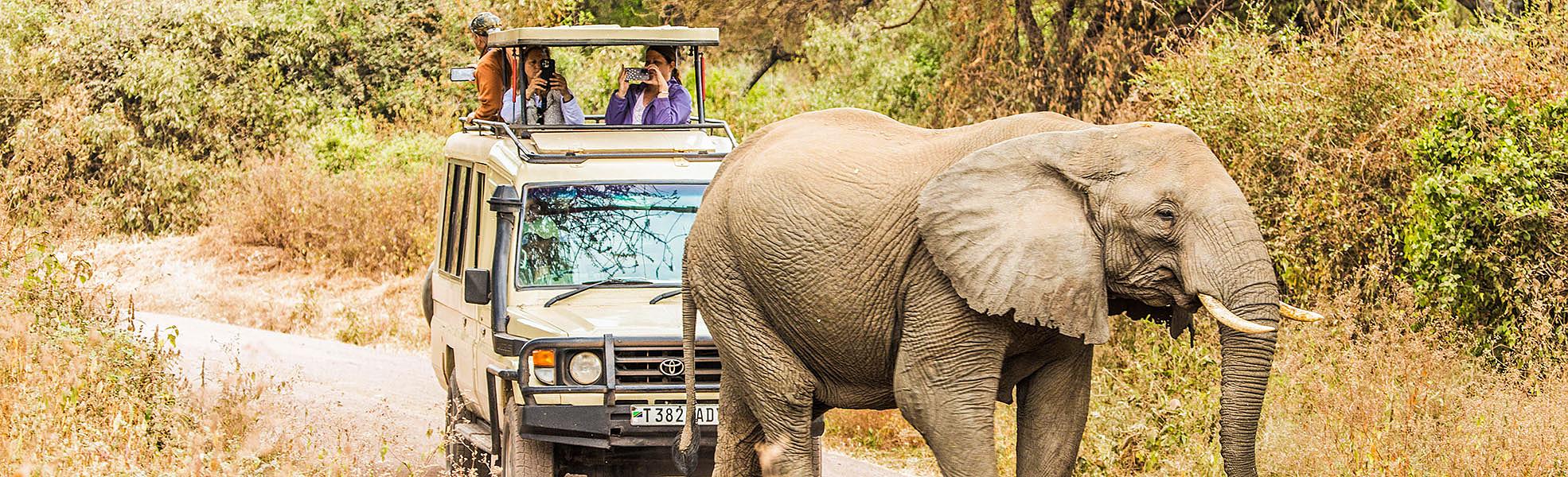 Tanzania Safari