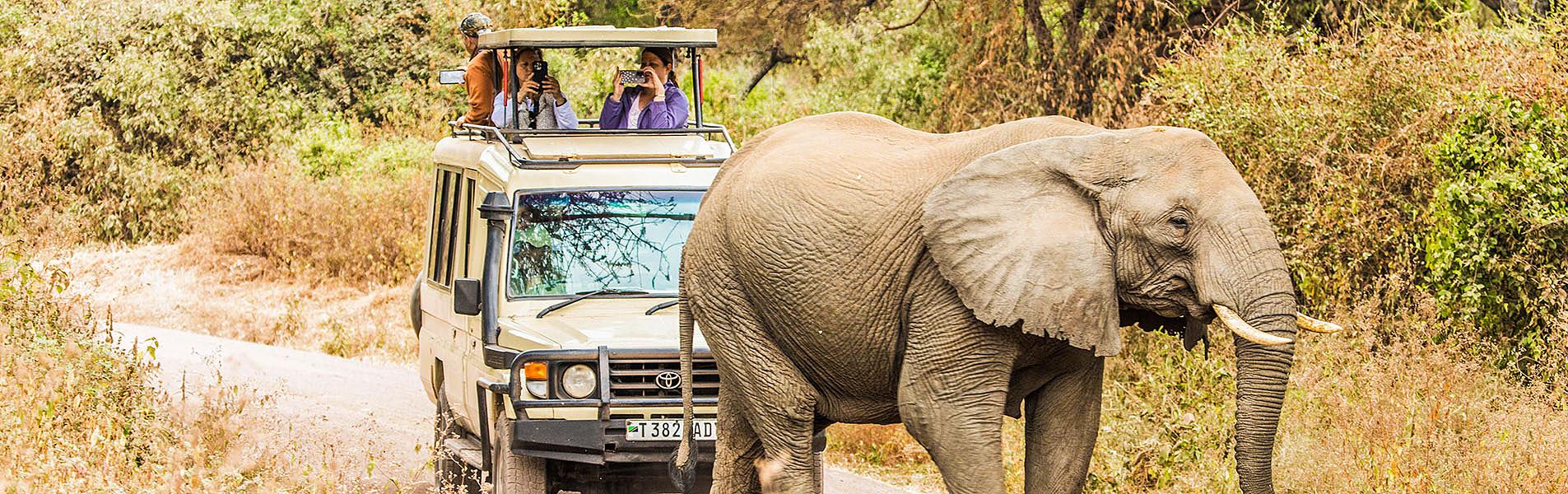 Tanzania Safari