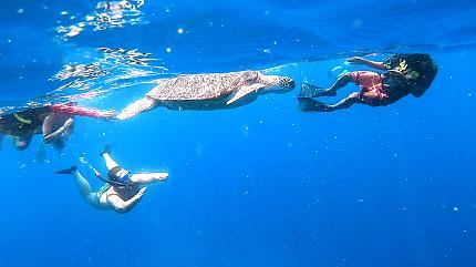 Gili Islands Snorkeling