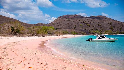 Pink Beach, Komodo Island