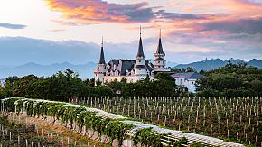 Château Changyu AFIP